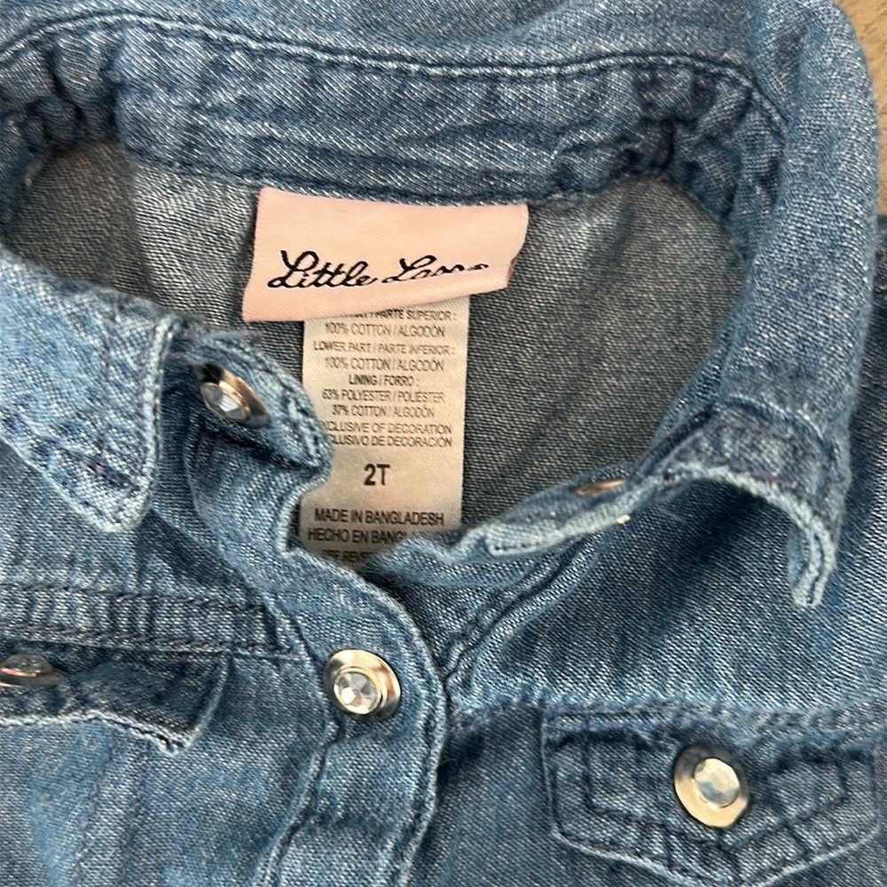 Little Lass girls size 2T dress - Picture 3 of 5